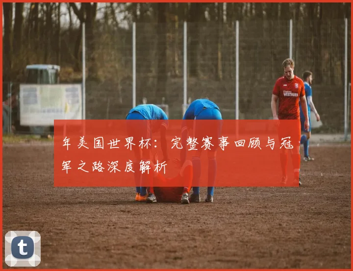 年美国世界杯：完整赛事回顾与冠军之路深度解析