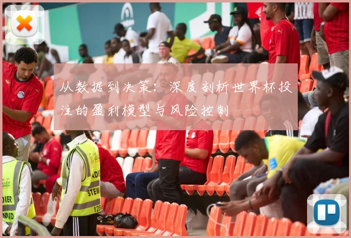 从数据到决策：深度剖析世界杯投注的盈利模型与风险控制