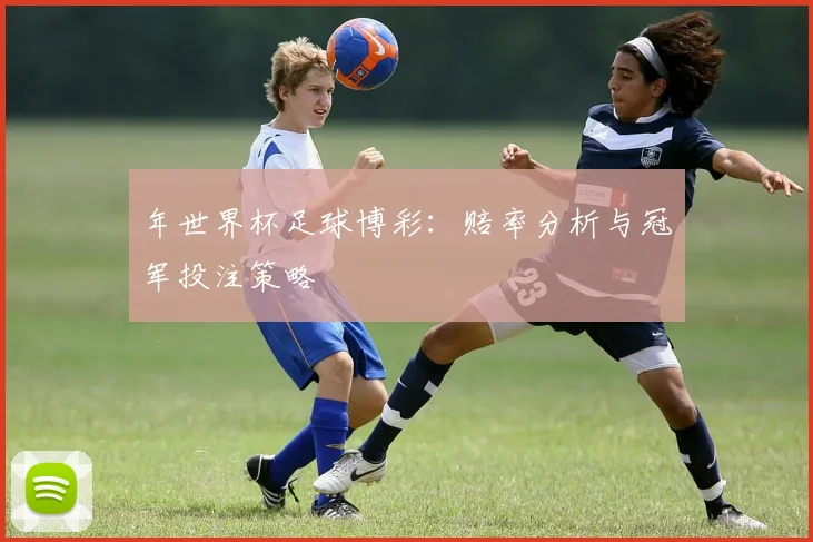 年世界杯足球博彩：赔率分析与冠军投注策略
