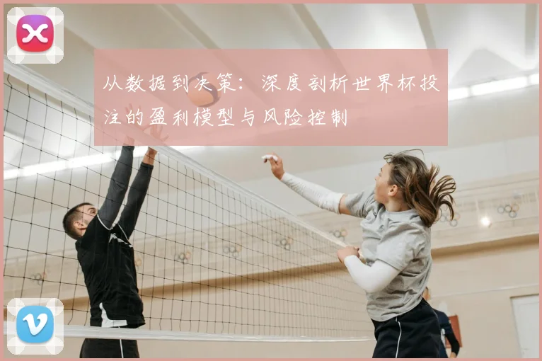 从数据到决策：深度剖析世界杯投注的盈利模型与风险控制