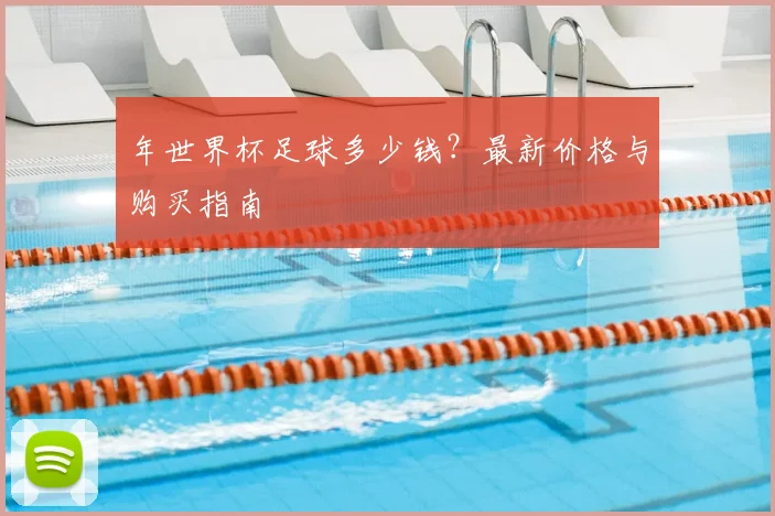 年世界杯足球多少钱？最新价格与购买指南