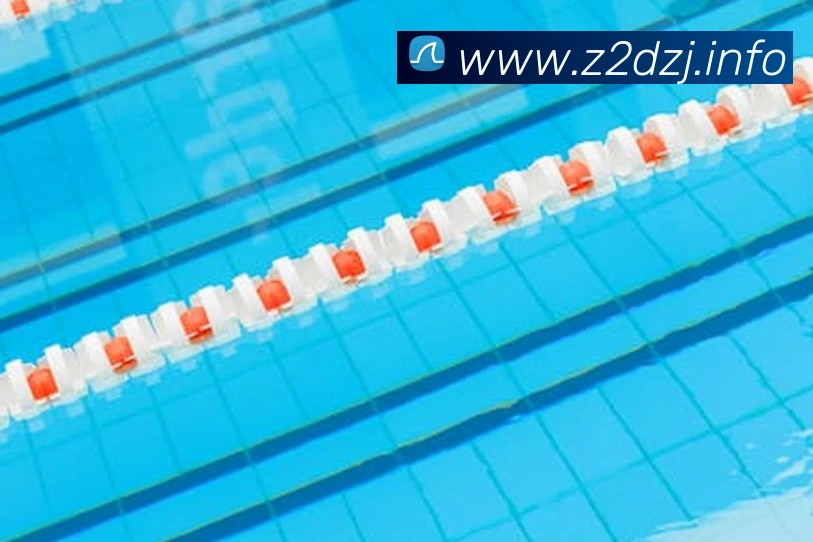 星空体育官网发展历程